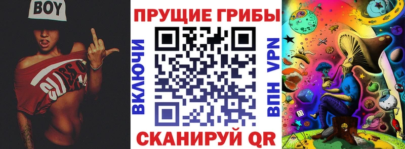 Галлюциногенные грибы Cubensis  hydra как зайти  Чехов  цена наркотик 