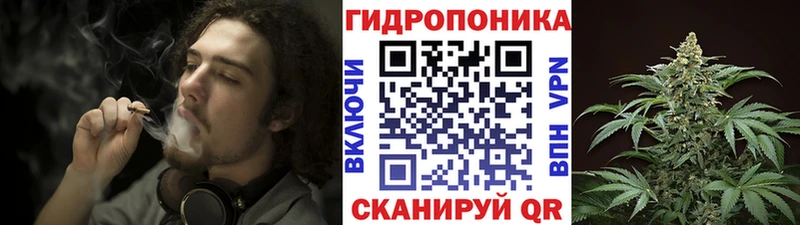 Бошки Шишки планчик  где можно купить наркотик  kraken маркетплейс  Чехов 